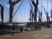 Picture of The Jolly Sailor