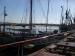 Picture of The Jolly Sailor