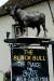 Picture of The Black Bull