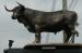 Picture of The Black Bull