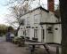 Picture of The Stag