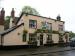 Picture of The Stag