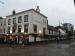 Picture of The Golden Lion