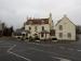 The Gloucester Old Spot
