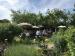 Picture of The Plough Inn