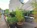 Picture of Twelve Bells