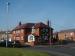 Picture of Turks Head