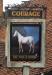 Picture of White Horse