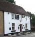 Picture of The Golden Lion