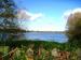 Picture of The Fishery