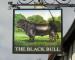 Picture of The Black Bull