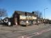 Picture of The Tudor Rose