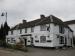 Picture of White Horse