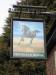 Picture of Black Horse