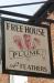 Picture of The Plume of Feathers