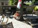 Picture of Bedford Arms