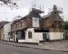 The Golden Lion