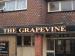 Picture of The Grapevine