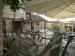 Picture of The Red Lion