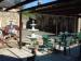 Picture of The Bonchurch Inn