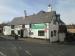 Picture of The White Lion