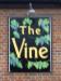 Picture of The Vine
