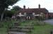 Picture of The Swan