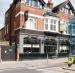 Picture of Golden Lion