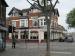 Picture of Golden Lion