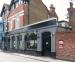 Picture of Golden Lion