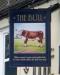 Picture of The Bull