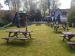 Picture of The Cricketers