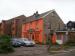 Picture of The Orange Tree