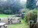 Picture of The Rose & Crown