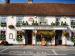 Picture of Dog & Bear Hotel