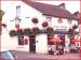 Picture of The Swan