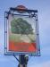 Picture of Walnut Tree