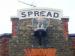 Picture of Spread Eagle