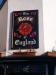 Picture of The Rose of England
