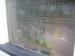 Picture of The George & New Territories