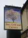 Picture of The Cherry Tree
