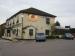 Picture of Tudor Rose