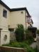 Picture of Tudor Rose