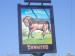 Picture of The Bay Horse