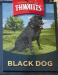 Picture of The Black Dog