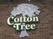 Picture of Cotton Tree