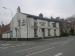 Picture of The Old White Horse