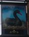 Picture of Black Swan