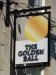 Picture of The Golden Ball