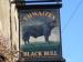 Picture of Black Bull